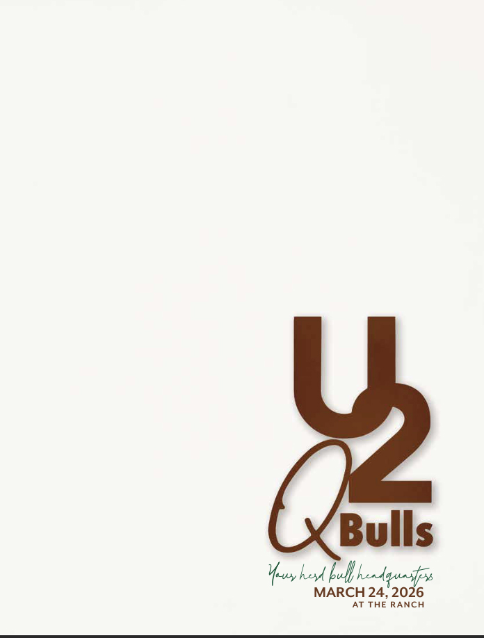 2026 Sale Catalog